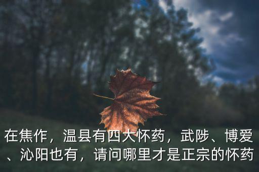 在焦作，溫縣有四大懷藥，武陟、博愛、沁陽也有，請問哪里才是正宗的懷藥