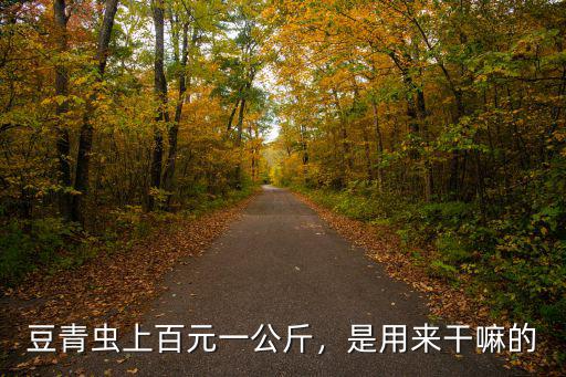 滄州臭味劑多少錢一公斤,你們那里多少錢一公斤