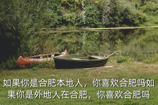 合肥本地人口多少人,合肥每年能增加多少人口