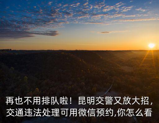 武漢公安怎么微信預約,微信武漢交警怎么用不了