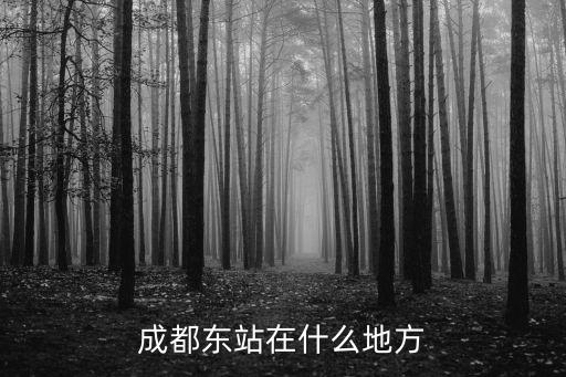 成都東客站的西廣場在哪里,成都東站在什么地方