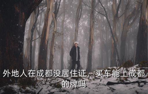 成都車牌上戶在哪里上,買車能上成都的牌嗎