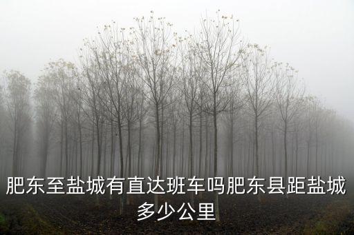 鹽城到安徽合肥多少公里,肥東縣距鹽城多少公里