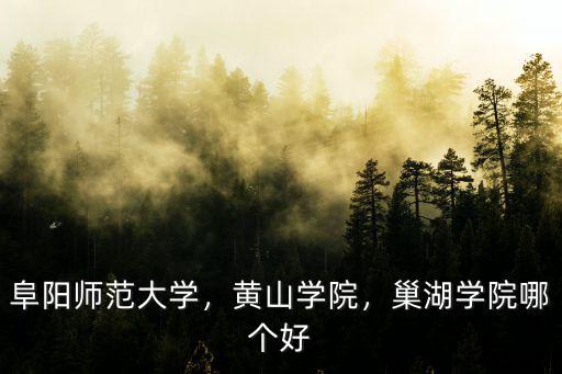 阜陽師范大學(xué)，黃山學(xué)院，巢湖學(xué)院哪個(gè)好