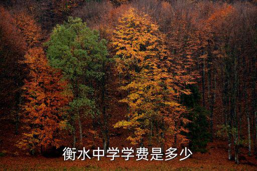 衡水學院聲樂生學費是多少學年,衡水中學學費是多少