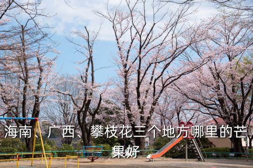 攀枝花芒果哪里最好,攀枝花三個地方哪里的芒果好