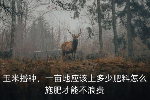 玉米播種，一畝地應該上多少肥料怎么施肥才能不浪費