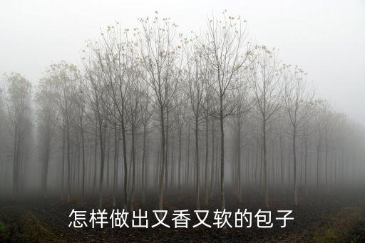 怎樣做出又香又軟的包子