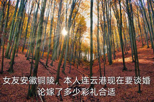 安徽毫州蒙城彩禮一般給多少,一般要多少彩禮