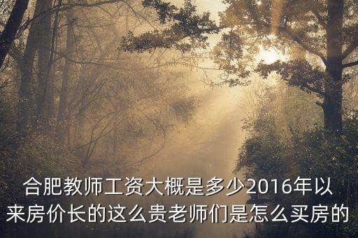 合肥新入編教師工資多少,合肥教師工資大概是多少
