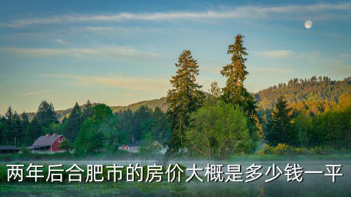 兩年后合肥市的房價大概是多少錢一平
