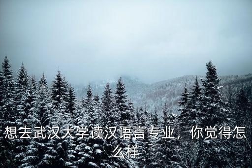 想去武漢大學(xué)讀漢語(yǔ)言專業(yè)，你覺得怎么樣