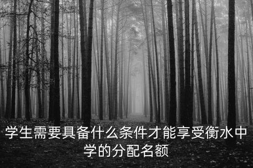 學(xué)生需要具備什么條件才能享受衡水中學(xué)的分配名額