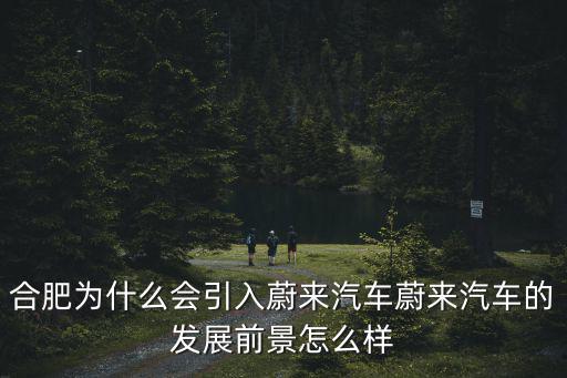 蔚來汽車合肥投資多少,合肥為什么會引入蔚來汽車