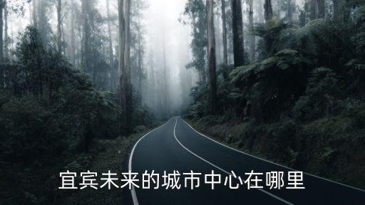 宜賓小碼頭在哪里,宜賓未來的城市中心在哪里