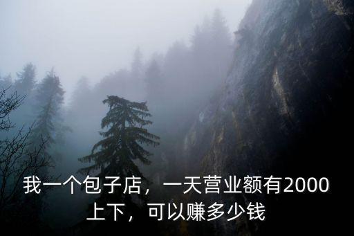我一個包子店，一天營業額有2000上下，可以賺多少錢
