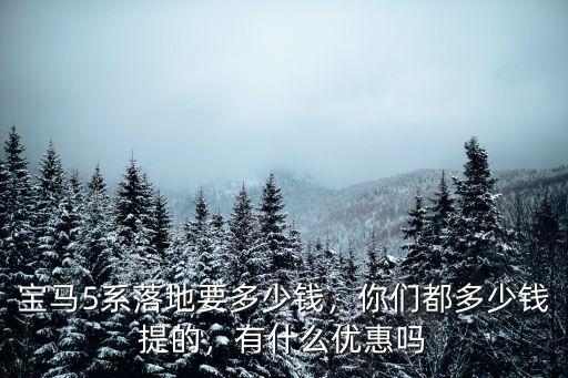 合肥寶馬5系優(yōu)惠多少錢啊,寶馬5系落地要多少錢