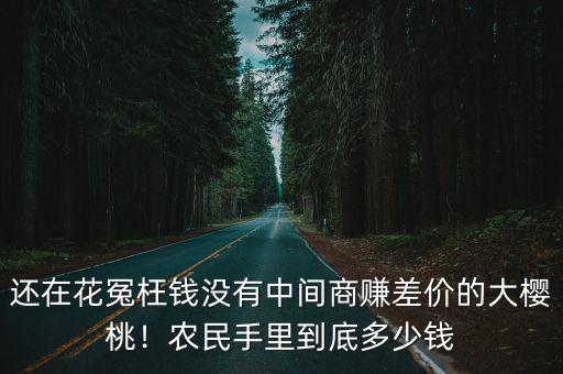 邢臺櫻桃一箱多少錢,現在大櫻桃賣多少錢一斤了
