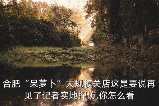 合肥“呆蘿卜”大規(guī)模關(guān)店這是要說再見了記者實(shí)地探訪,你怎么看