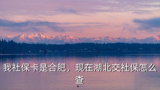 湖北省直社保怎么查詢,現在湖北交社保怎么查