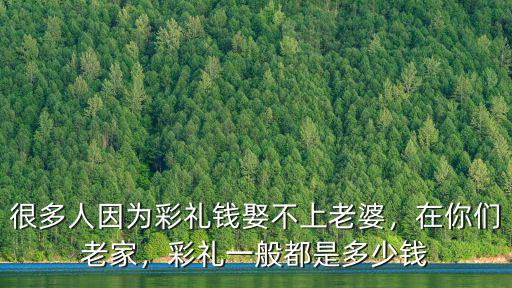 保定娶媳婦聘禮多少錢,保定易縣彩禮大概多少錢