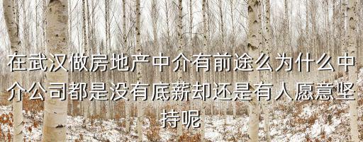 武漢創世中介怎么樣,武漢的中介公司這么多