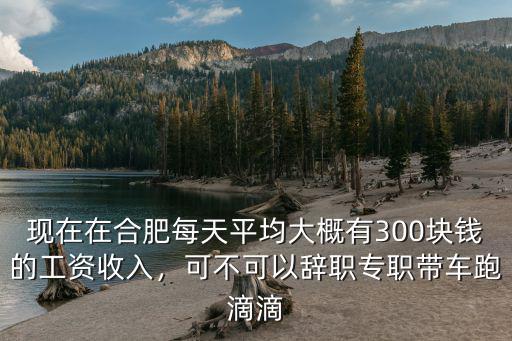 現在在合肥每天平均大概有300塊錢的工資收入，可不可以辭職專職帶車跑滴滴