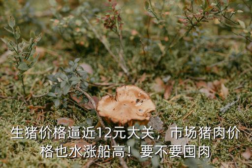 河北定州市場豬肉價格多少錢,市場豬肉價格也水漲船高