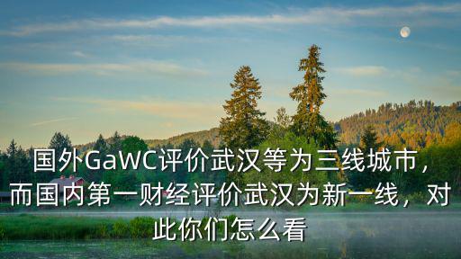 外國怎么評論武漢,外國網友是怎么評論武漢的