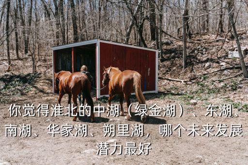 你覺得淮北的中湖（綠金湖）、東湖、南湖、華家湖、朔里湖，哪個未來發展潛力最好