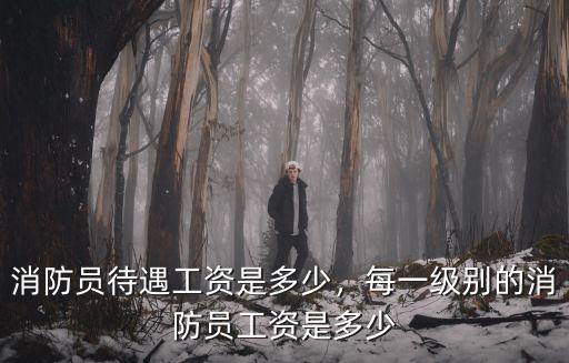 阜陽消防工資是多少,消防員待遇工資是多少