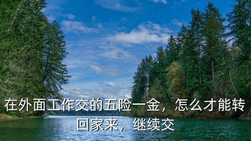 武漢五險一金怎么轉,怎么才能轉回家來