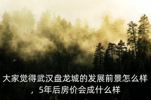 大家覺得武漢盤龍城的發(fā)展前景怎么樣，5年后房價(jià)會(huì)成什么樣