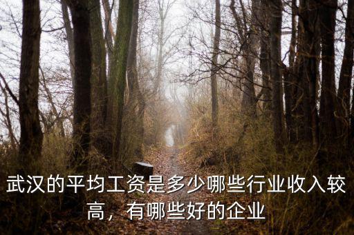 武漢的平均工資是多少哪些行業收入較高，有哪些好的企業