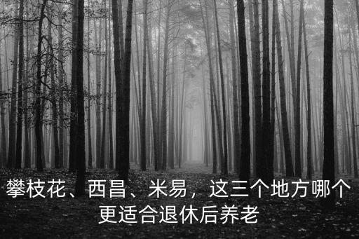 攀枝花、西昌、米易，這三個地方哪個更適合退休后養老