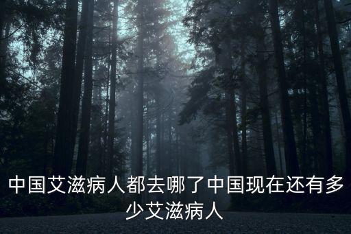 中國艾滋病人都去哪了中國現在還有多少艾滋病人