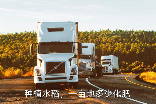 種植水稻，一畝地多少化肥