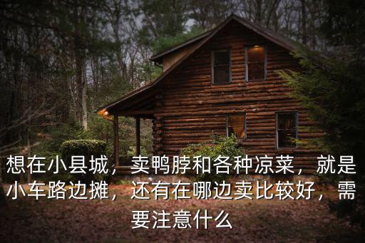 想在小縣城，賣鴨脖和各種涼菜，就是小車路邊攤，還有在哪邊賣比較好，需要注意什么