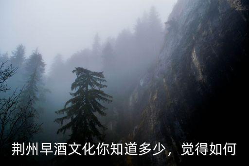 荊州非遺文化怎么寫,如何打造非遺文化品牌