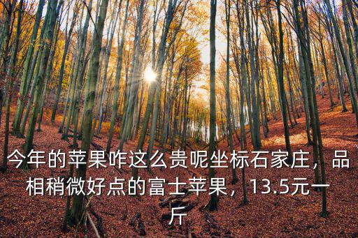 今年的蘋果咋這么貴呢坐標(biāo)石家莊，品相稍微好點的富士蘋果，13.5元一斤