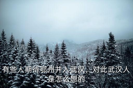 武漢直轄了大悟怎么辦,如果武漢直轄了