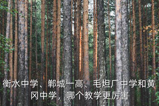 衡水中學、鄲城一高、毛坦廠中學和黃岡中學，哪個教學更厲害
