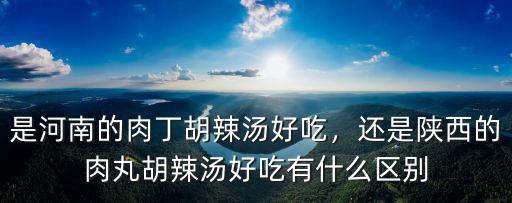 是河南的肉丁胡辣湯好吃，還是陜西的肉丸胡辣湯好吃有什么區別
