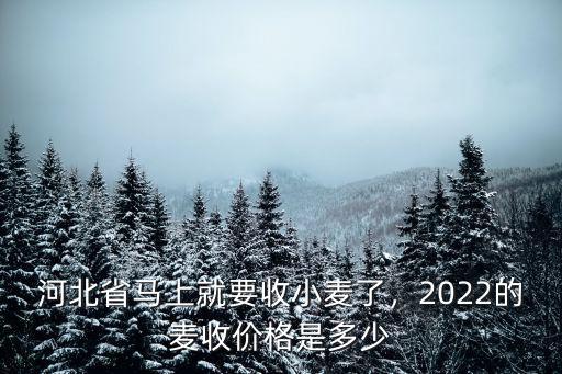 河北省馬上就要收小麥了，2022的麥?zhǔn)諆r(jià)格是多少
