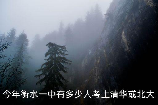 今年衡水一中有多少人考上清華或北大