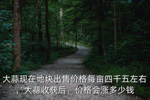 宿州大蒜價格是多少,價格會漲多少錢