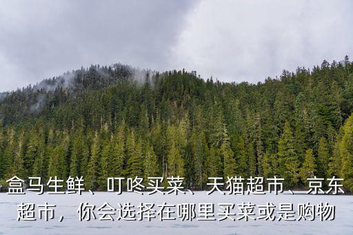 成都天貓生鮮超市在哪里,在成都開個生鮮超市