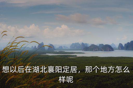 想以后在湖北襄陽定居，那個地方怎么樣呢