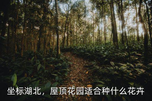 湖北花藝花卉怎么種植好,湖北黃岡適合種植什么花卉