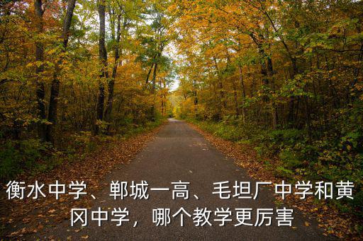 衡水中學、鄲城一高、毛坦廠中學和黃岡中學，哪個教學更厲害